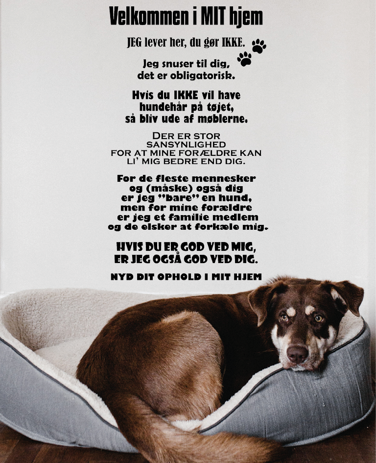 Wallstickers - Hunderegler : Velkommen i mit hjem